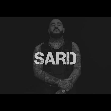 SARD - Болевые Точки (Temmy Remix)