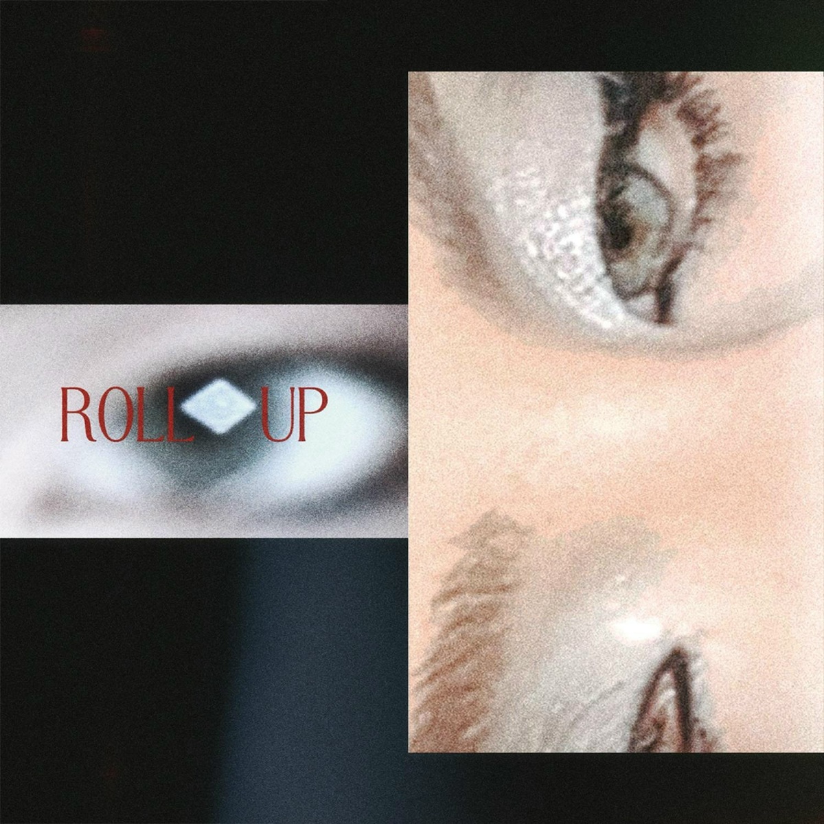 roll up - SASHA DERESH
