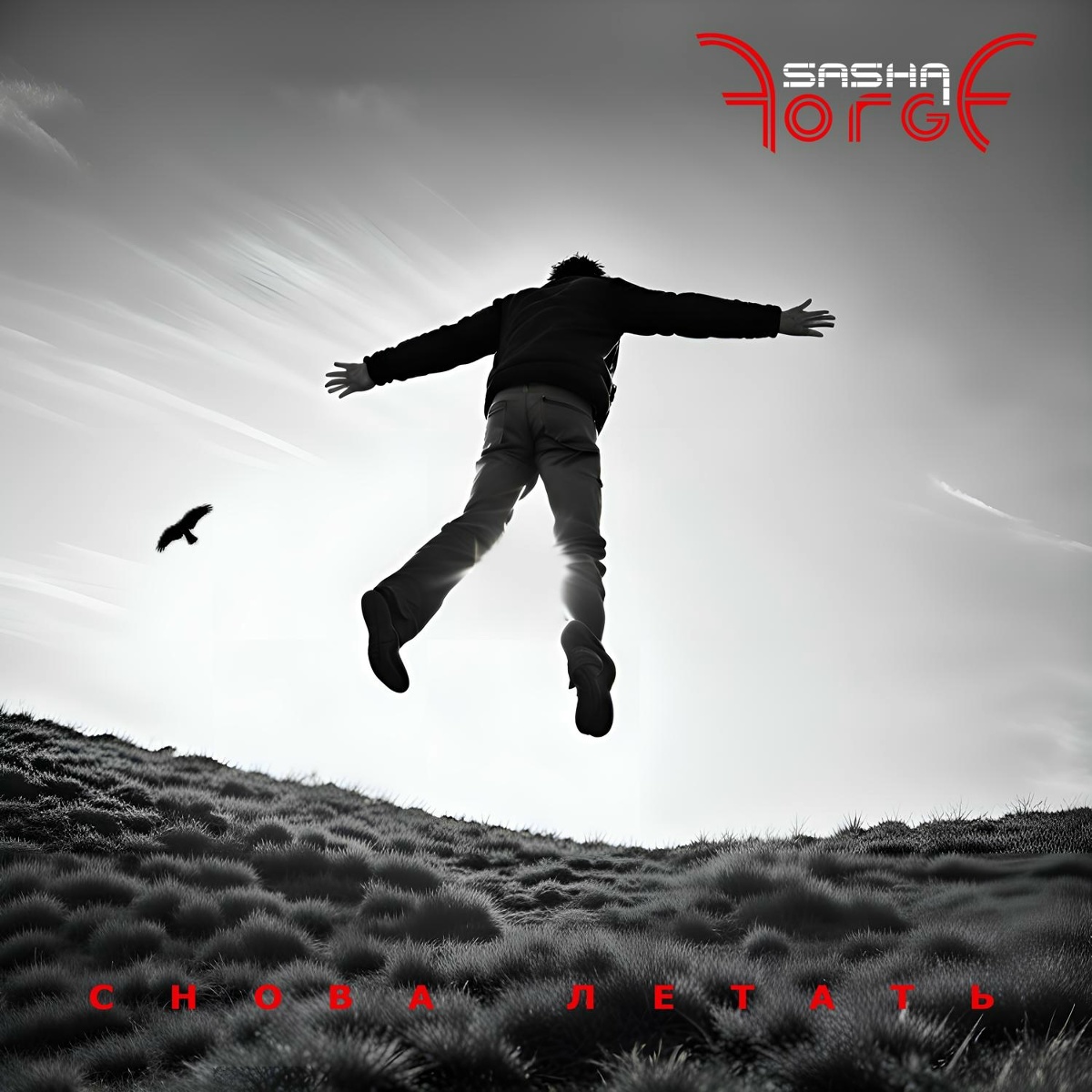 Снова летать - Sasha Forge