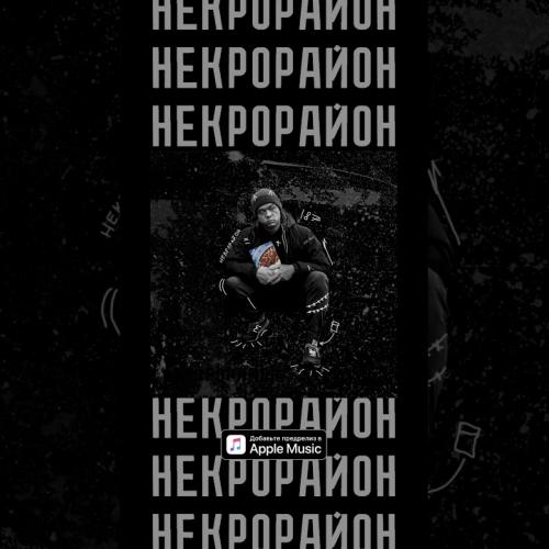 Саша Скул - Некрорайон