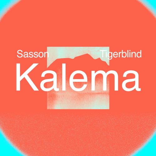 Sasson (FR) & Tigerblind - Kalema