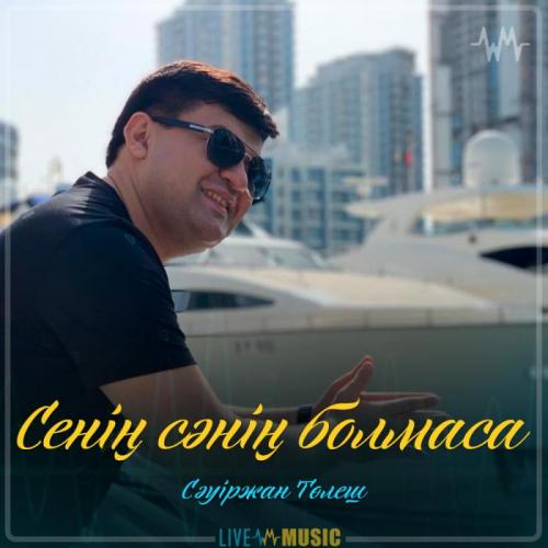 Сәуіржан Төлеш - Сенің сәнің болмаса