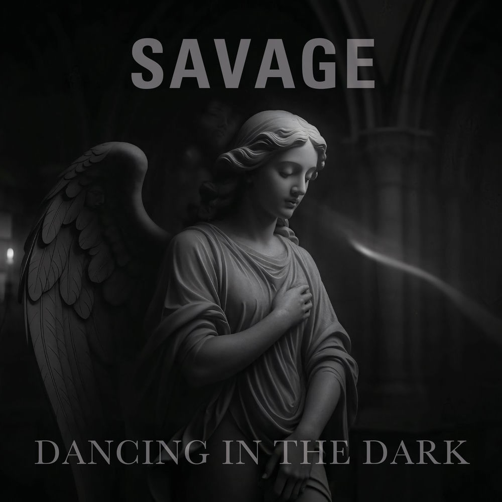 Dancing In The Dark (Radio Version) - Savage