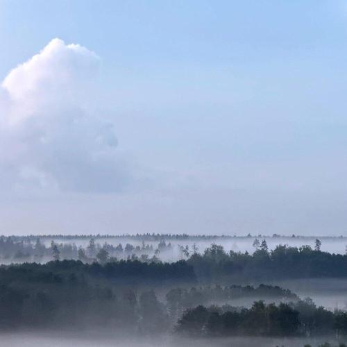 Savva Blinnikov - Fog Bench