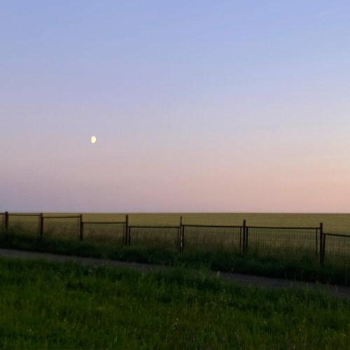Savva Blinnikov, swlmn - Forgotten Meadow