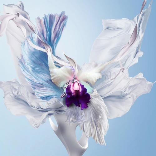 Schiller - White Nights (Dont Let Me Go)