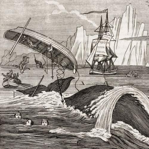 Wellerman - Sea Shanty