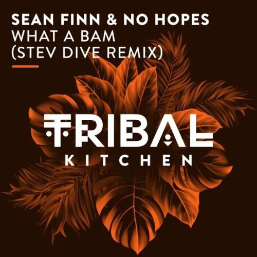 Sean Finn feat. No Hopes - What A Bam (Stev Dive Radio Edit)
