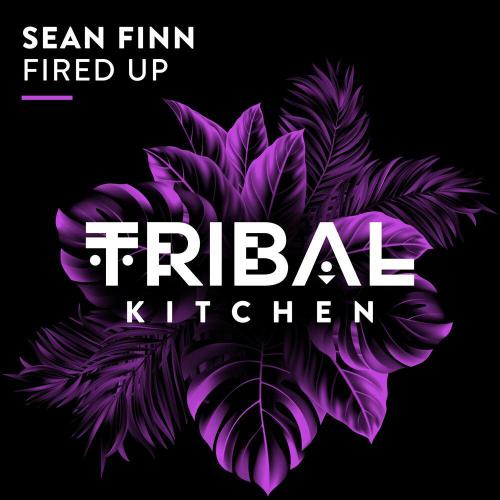 Sean Finn - Fired Up
