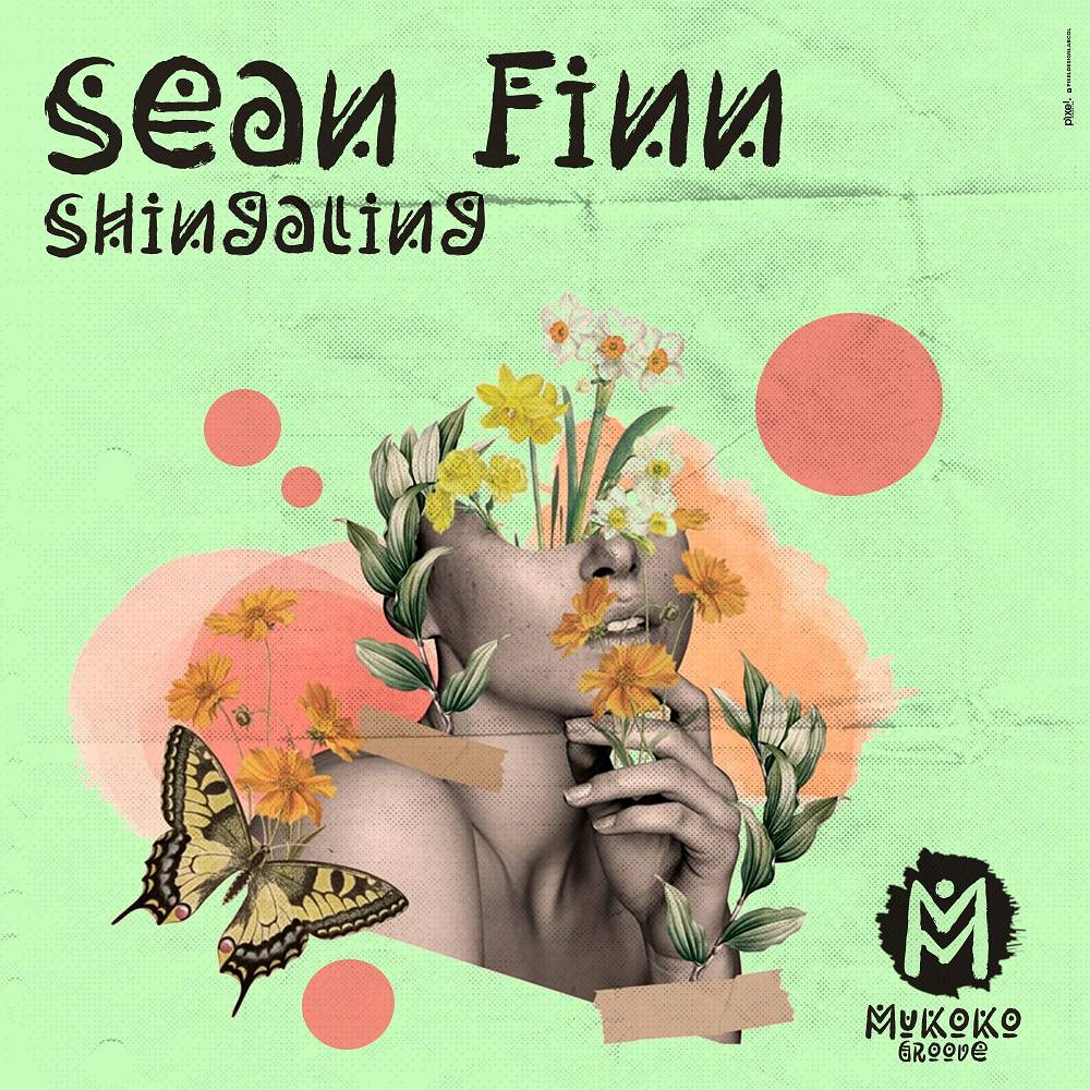 Shingaling - Sean Finn