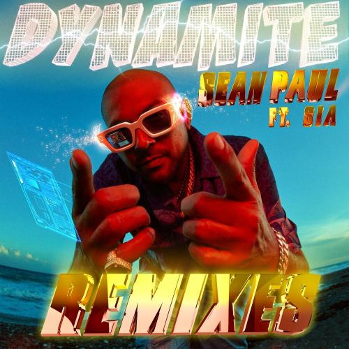 Sean Paul feat. Sia - Dynamite (Nelsaan Remix)