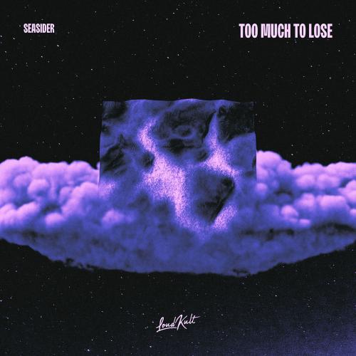 Too Much To Lose - Seasider
