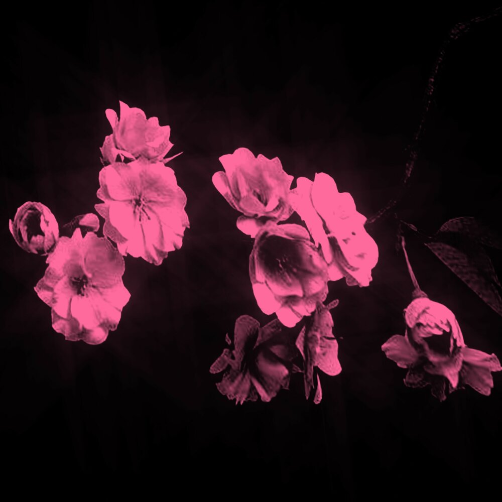 burning memory - seawansia