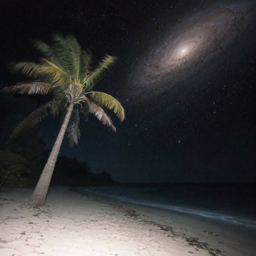 spacelounge - seawansia