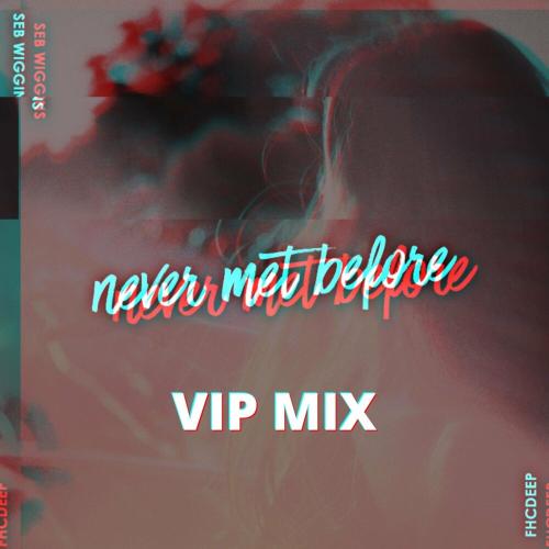 Never Met Before (VIP Mix) - Seb Wiggins