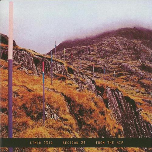 Section 25 - Looking from a Hilltop
