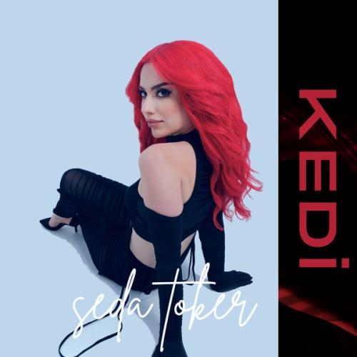 Kedi - Seda Toker