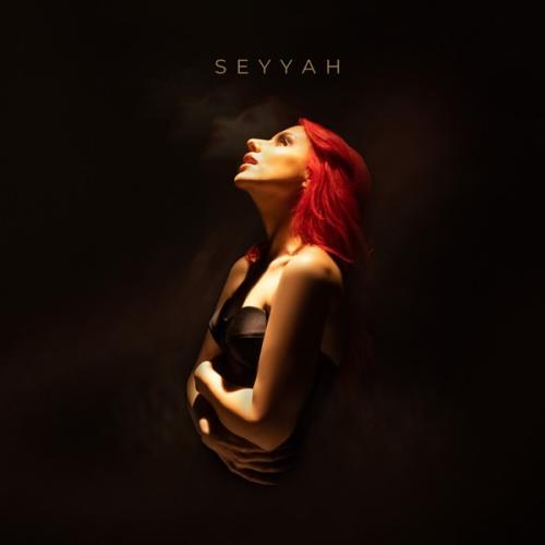 Seyyah - Seda Toker