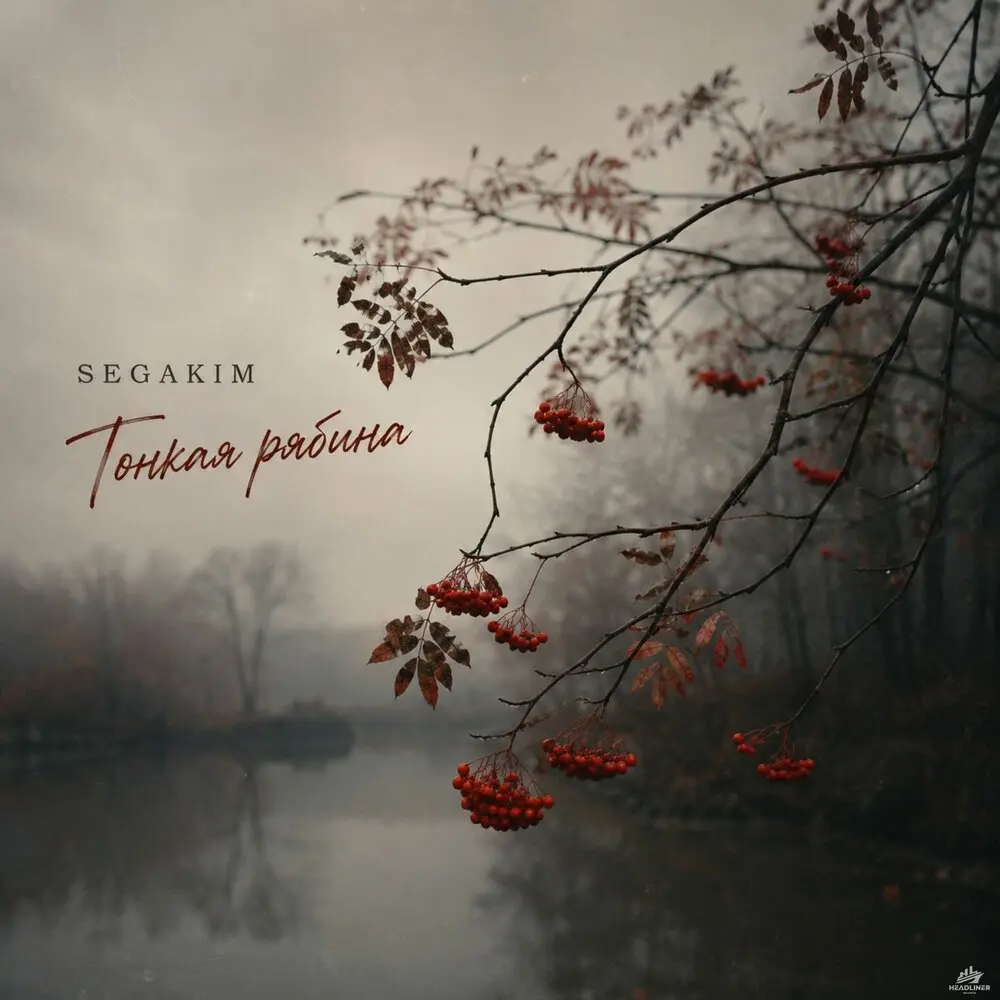 Тонкая рябина - SEGAKIM
