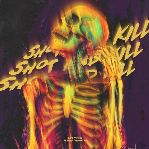 Shot and Kill - Sein Ronin