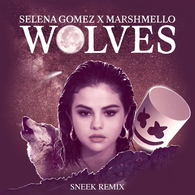 Wolves (Sneek Remix) - Selena Gomez & Marshmello feat. SNEEK