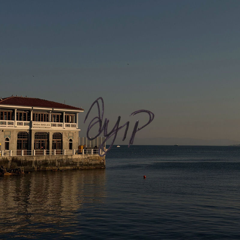Ayıp - Sena Şahin