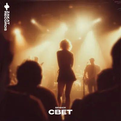Свет - SENNOR