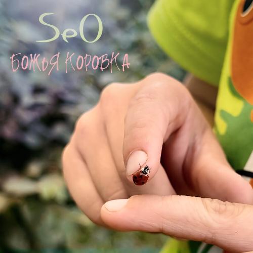 Божья коровка - SeO