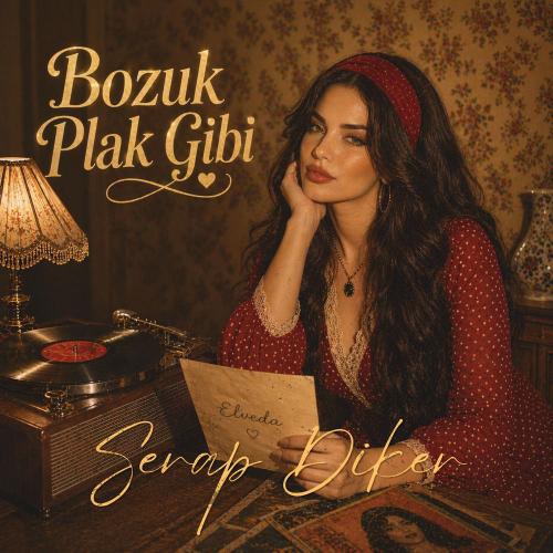 Bozuk Plak Gibi - Serap Diker