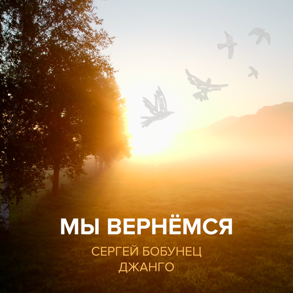 Мы вернёмся (Instrumental) - Сергей Бобунец, Джанго