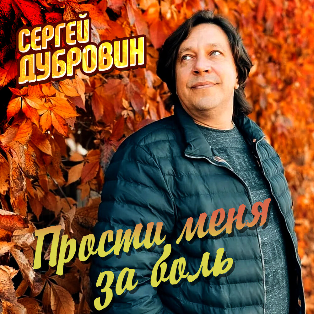 Прости меня за боль - Сергей Дубровин