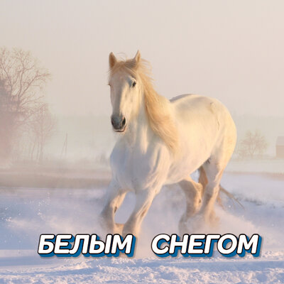 Белым снегом - Сергей Грищук