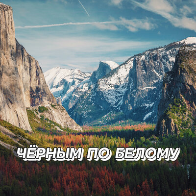 Чёрным по белому - Сергей Грищук