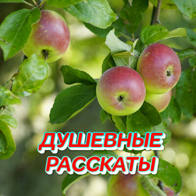 Душевные расскаты - Сергей Грищук