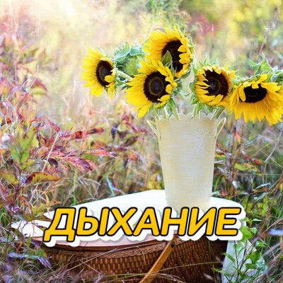 ДЫХАНИЕ - Сергей Грищук
