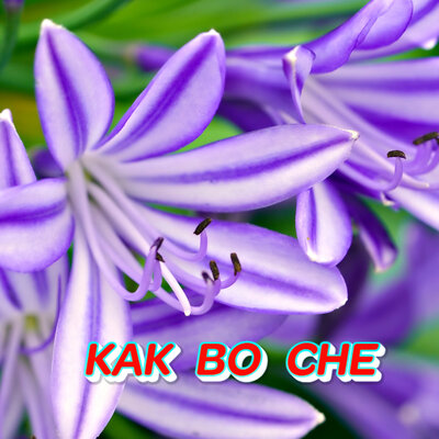 Как во сне - Сергей Грищук