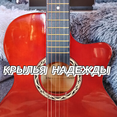 Крылья надежды - Сергей Грищук