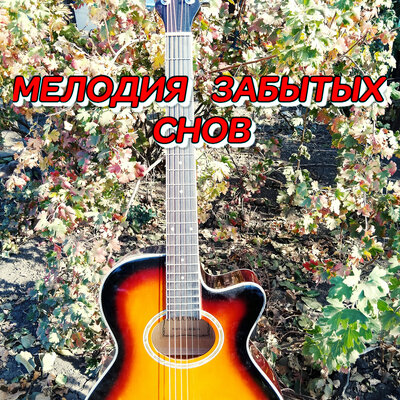 Мелодия забытых снов - Сергей Грищук
