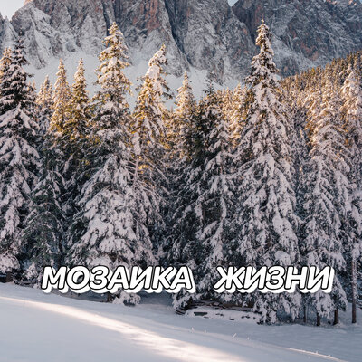 Мозаика жизни - Сергей Грищук