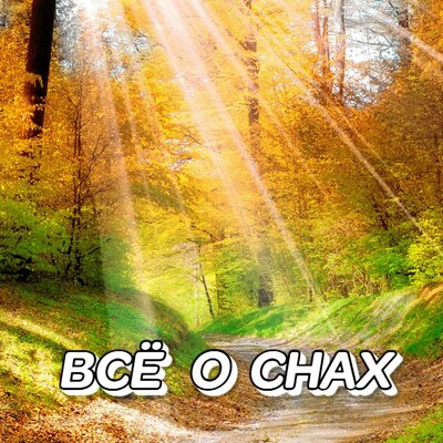 НЕЖНЫЙ ШЁПОТ - Сергей Грищук