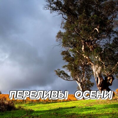 НОСТАЛЬГИЯ - Сергей Грищук