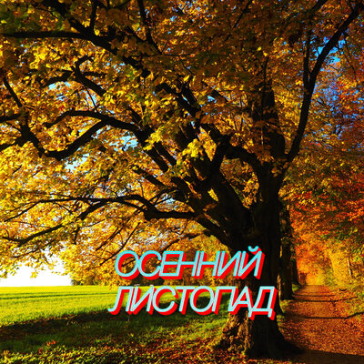Осенний листопад - Сергей Грищук
