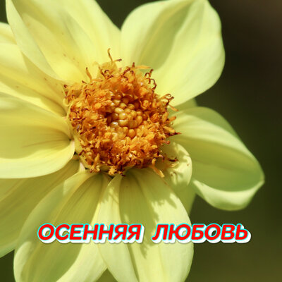 Осенняя любовь - Сергей Грищук