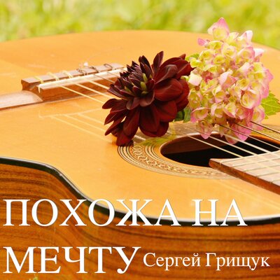 Похожа на мечту - Сергей Грищук