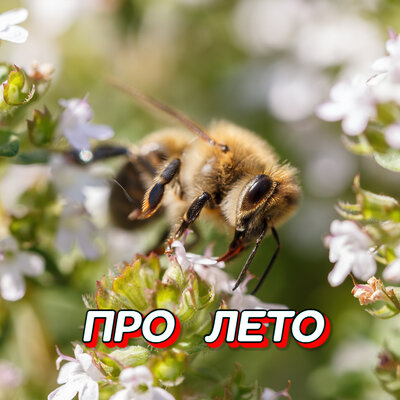 Про лето - Сергей Грищук