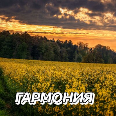 ТАМ, ЗА ГОРИЗОНТОМ - Сергей Грищук
