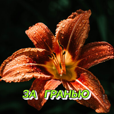 За гранью - Сергей Грищук