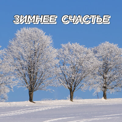 Зимнее счастье - Сергей Грищук