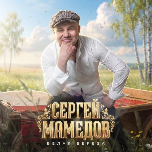 Сергей Мамедов - Белая берёза