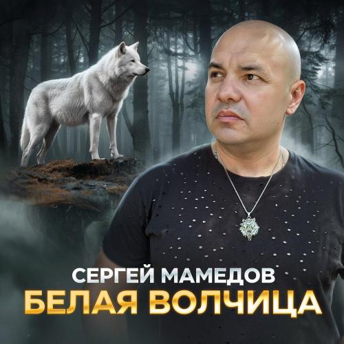 Сергей Мамедов - Белая волчица